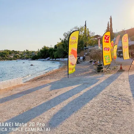 ξένιος ζευς ηλιακτής. χώρος χαλάρωσης & ξεκούρασης Apartment *